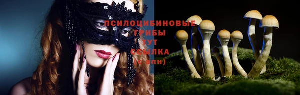 экстази Каменногорск