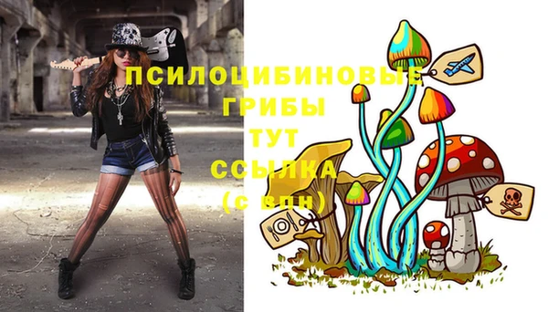 таблы Каменск-Шахтинский