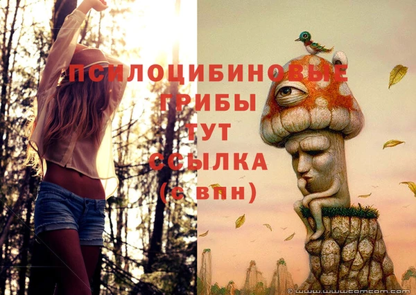 ешки Иннополис