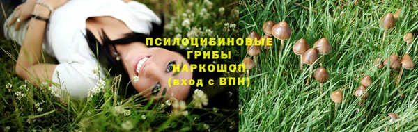 экстази Каменногорск