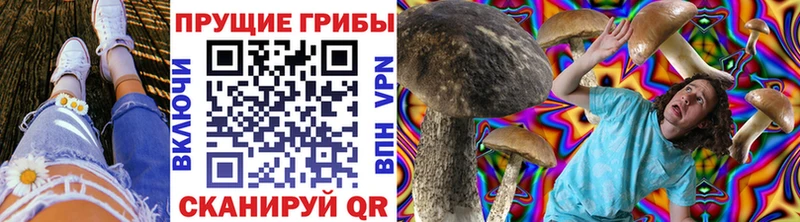 Псилоцибиновые грибы Psilocybe  Домодедово 